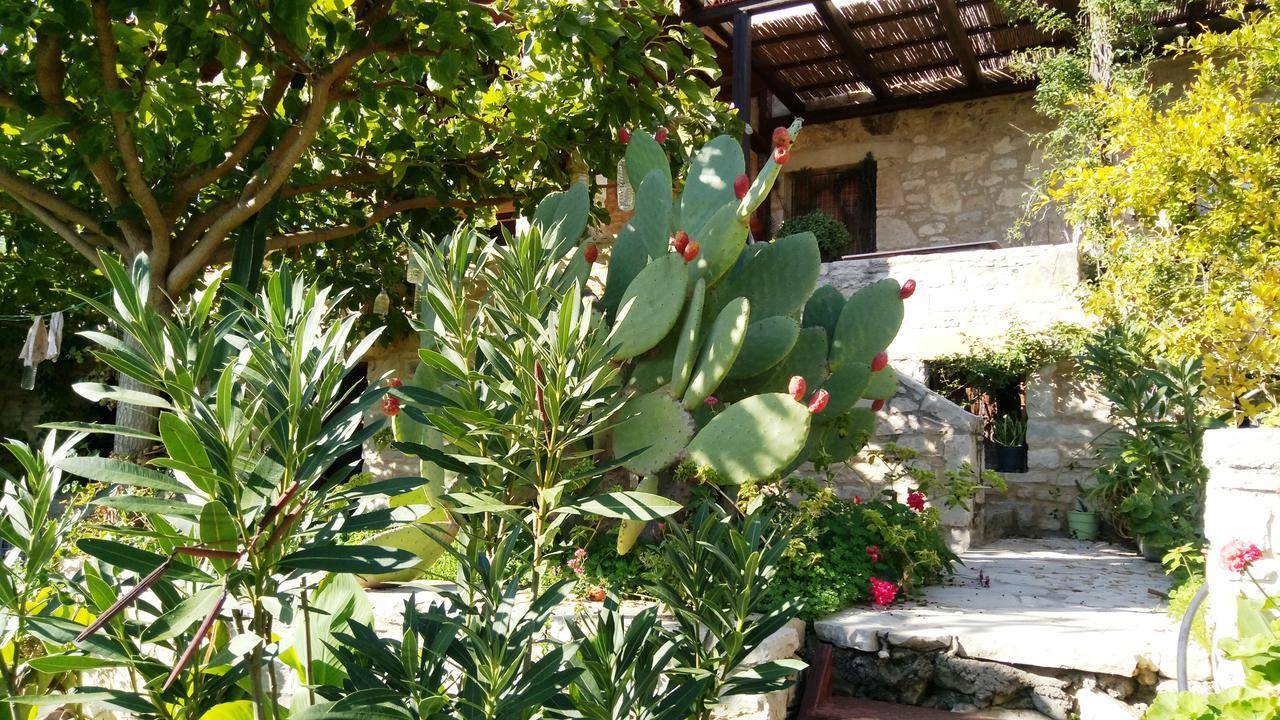 Villa Filiza Sivas Exterior photo